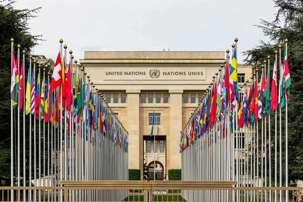 International Relations and Diplomacy Courses